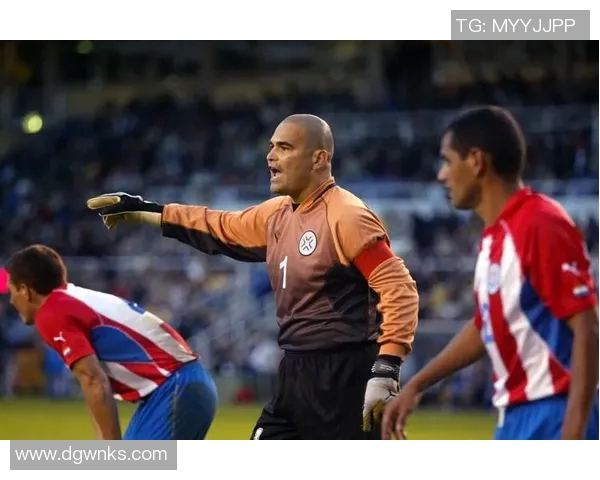 足球明星奇拉维特的精彩瞬间与职业生涯回顾图片展览